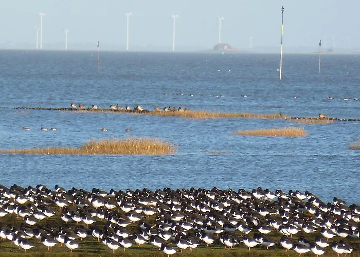 Inselpanorama Appartamento *